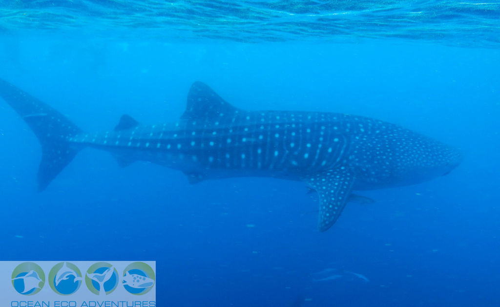 36a6d851-703c-413a-95b9-d07027b7a6a6