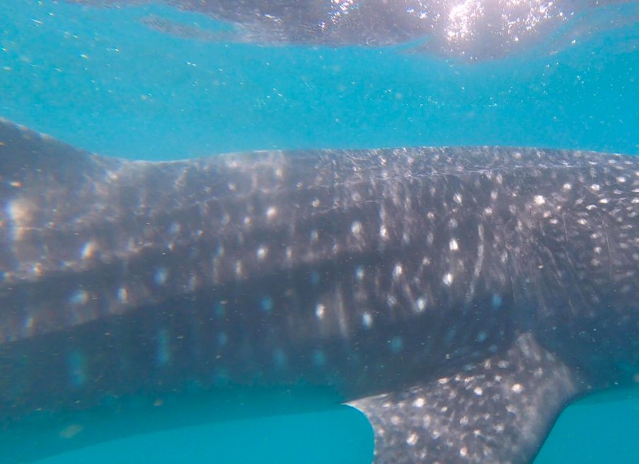 6294a811-f949-4d51-92a6-20cd55e8d5fe