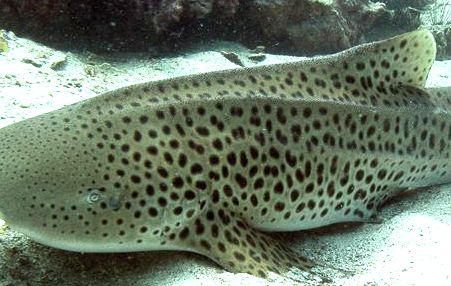 58e19db8-a31c-44d1-8360-092ed7c9a3cd