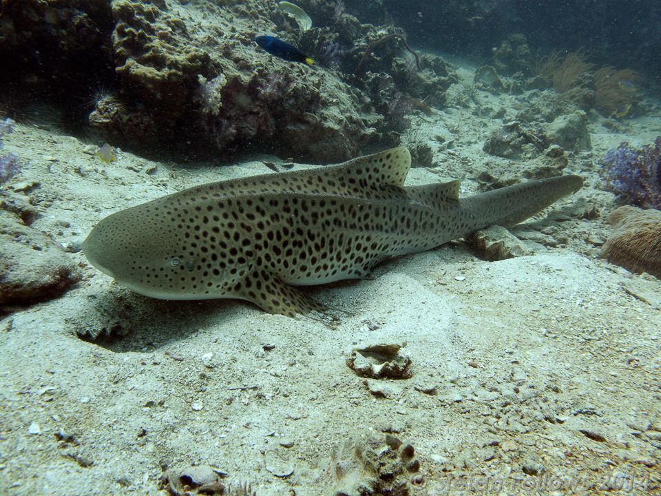 58e19db8-a31c-44d1-8360-092ed7c9a3cd