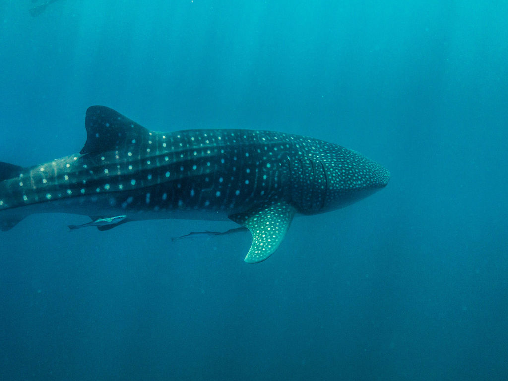 280187d0-b3d4-4e98-b150-04fc6e930ef8