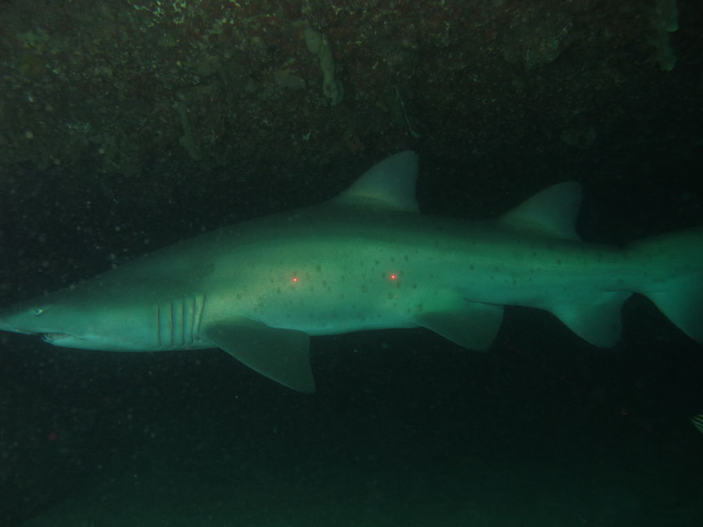 65914b2e-8a8f-4db7-9f67-62457a5d8a15