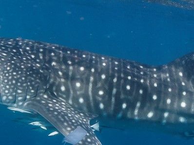 75c310d0-af9b-4a75-a5b9-417ec8b38675