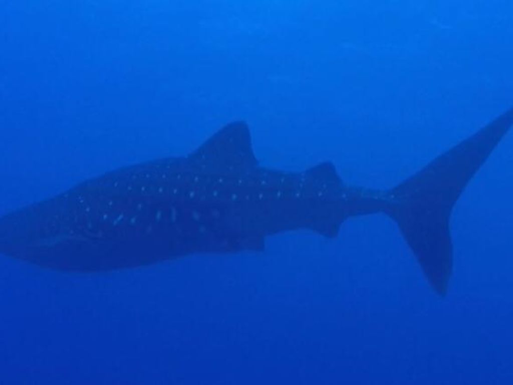 9d3d76b9-2889-4c21-a172-96fe438355ec