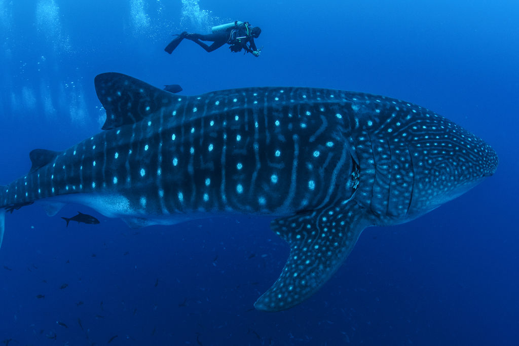 b7fb7407-cde8-42d3-b83a-92e33135a36b