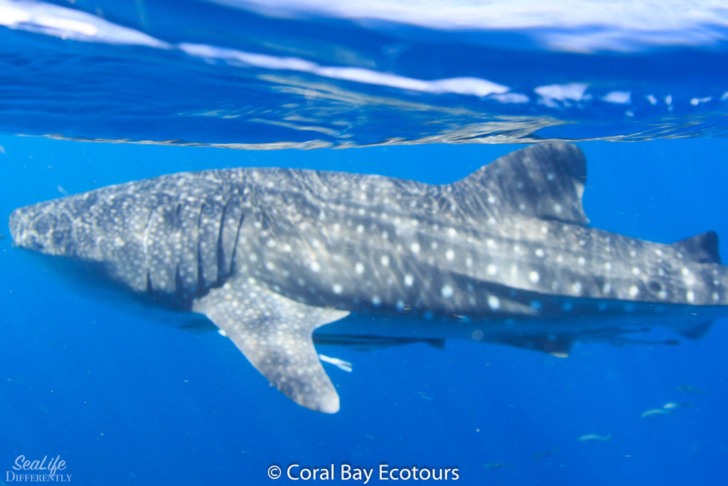 866d51bb-b578-4e5e-8bf0-90e76ecfffa8