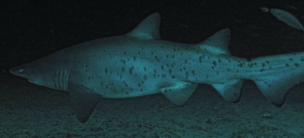 36f00124-017d-4871-8005-7984cc83a822