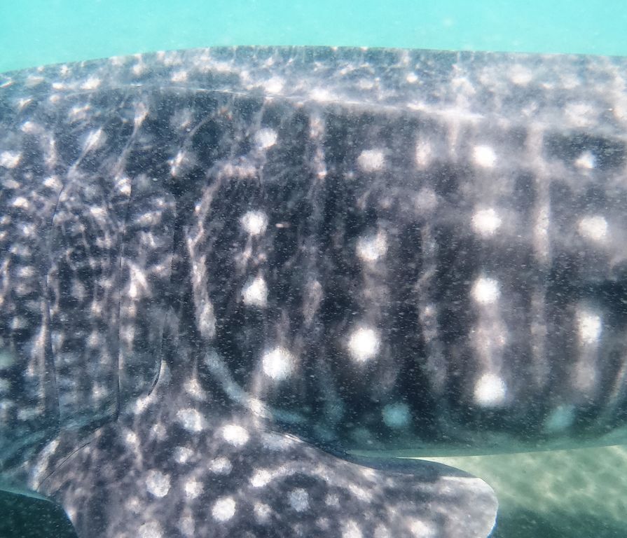 2de870af-c89c-42c4-916f-4c8d0ced7f82