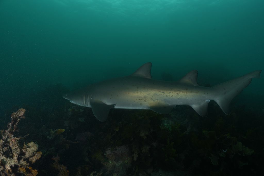 bda3b337-8779-4ef8-9426-505e5a5939ca