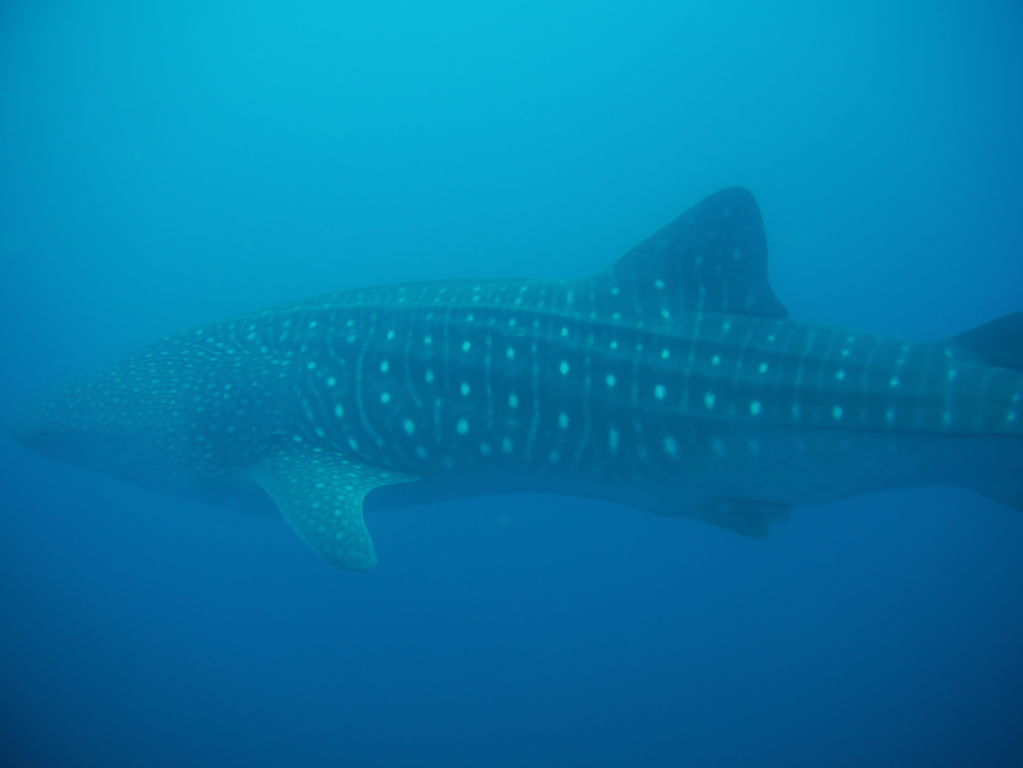 a866b3e7-bfbf-4cfd-8195-b17103a8f834