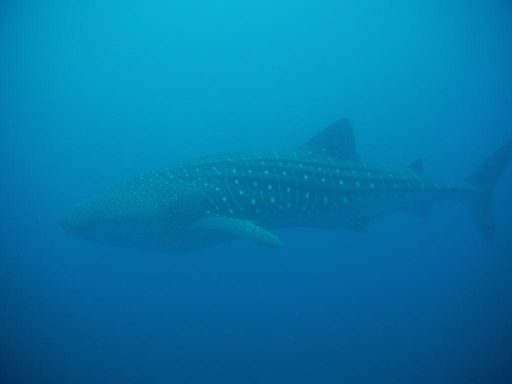 a866b3e7-bfbf-4cfd-8195-b17103a8f834