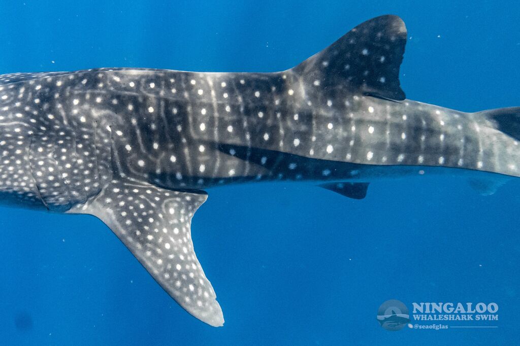 5a26cb63-37e4-4915-b944-7ed6738a4295