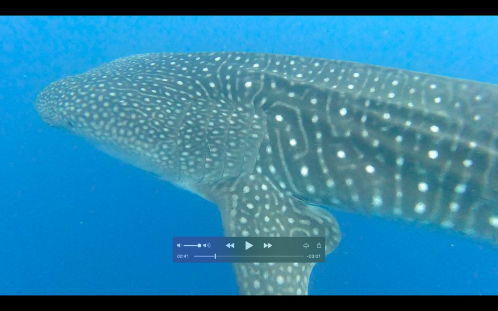 1c6a7d99-928f-4425-9026-f45afd3414e8