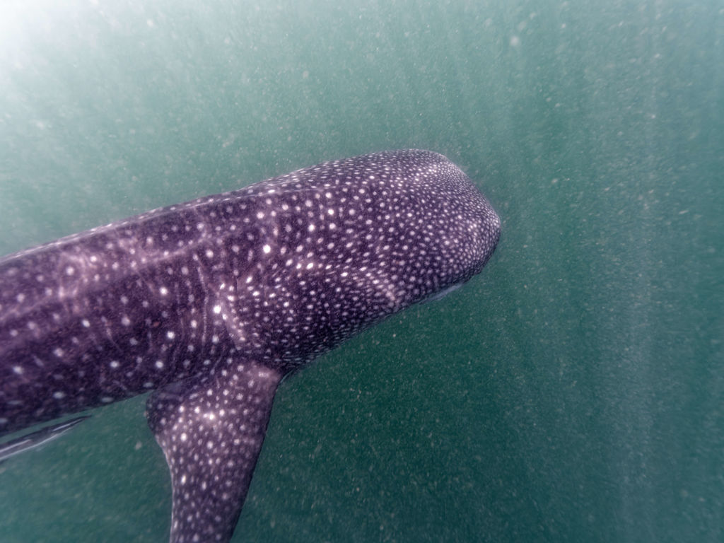 d586a740-aecf-4278-aedf-addf3cb6ed88