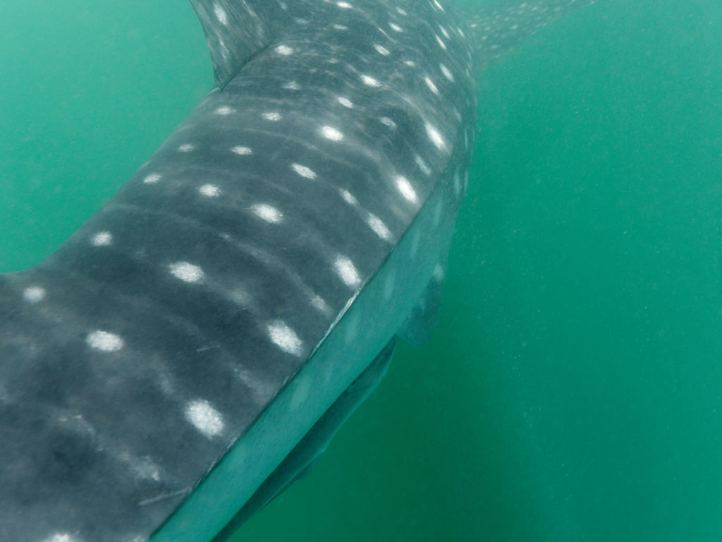 d586a740-aecf-4278-aedf-addf3cb6ed88