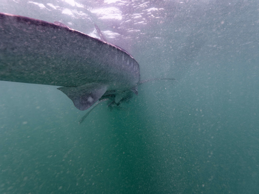 d586a740-aecf-4278-aedf-addf3cb6ed88