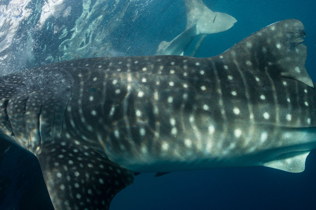 d195a761-531a-46fb-b459-ca186f3111a4