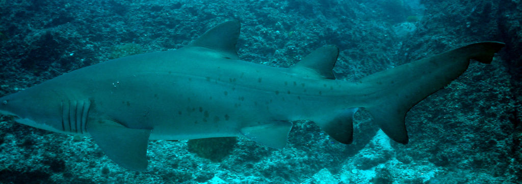 95370cc1-4a6d-4d48-8ee6-f21c9d5d8858