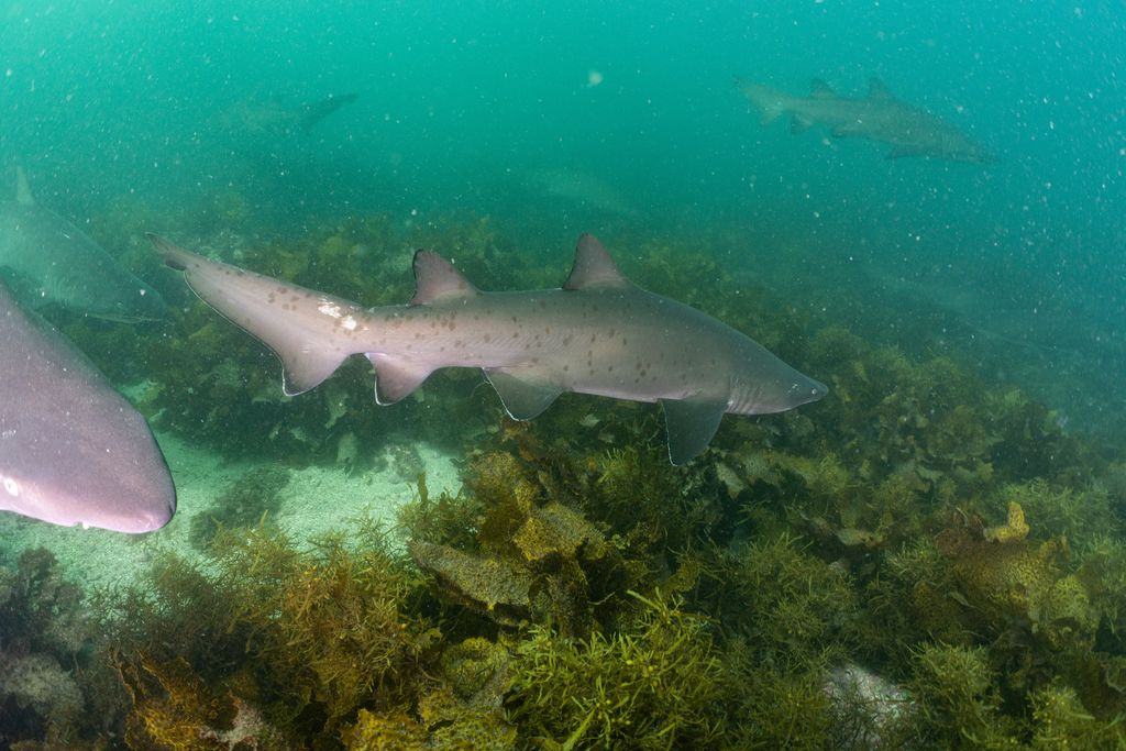 22ea09bc-fb68-4778-bc85-8ea08b7dfd88