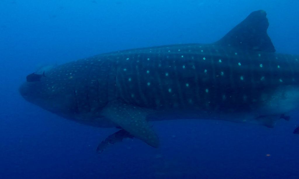 c88fe1fe-6ec8-4062-adda-487268e6f54b