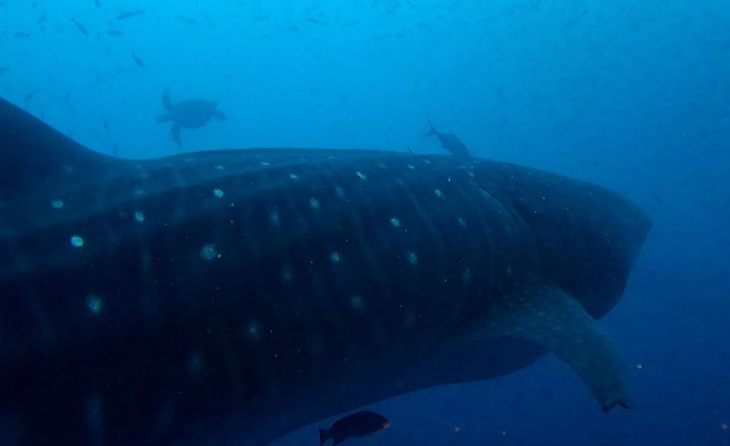 c88fe1fe-6ec8-4062-adda-487268e6f54b