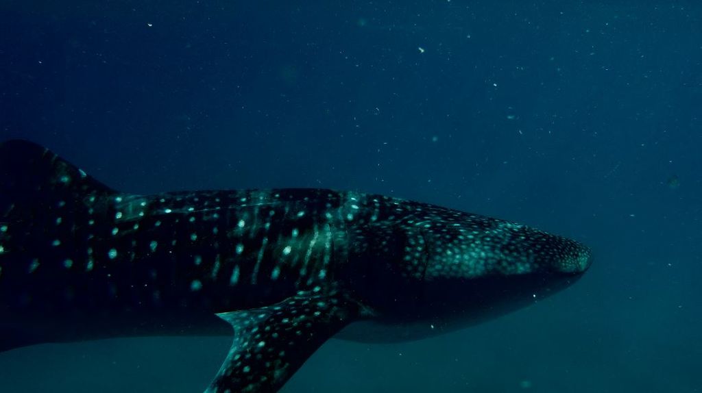 8addd261-0659-4632-a23a-57fc36df181f