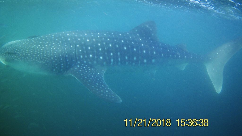 fd342ebf-cf70-4554-8916-18d07947a41c