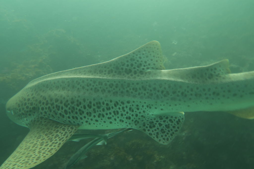 1f9b74a8-d0f8-42f2-a915-9fca84344d51