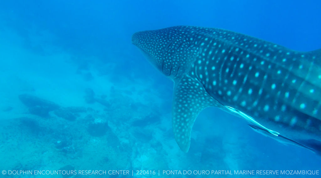 51e170dd-ab3d-46dc-ba29-250763019dc5