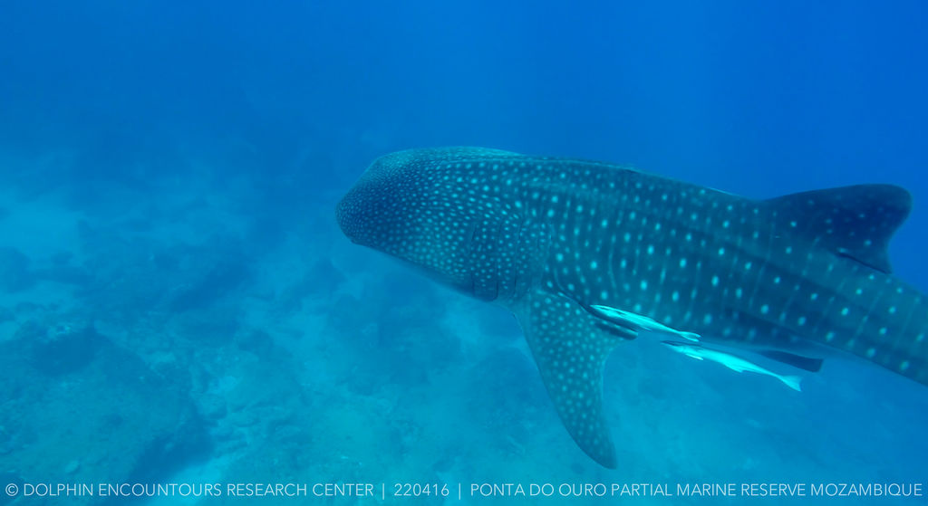 51e170dd-ab3d-46dc-ba29-250763019dc5