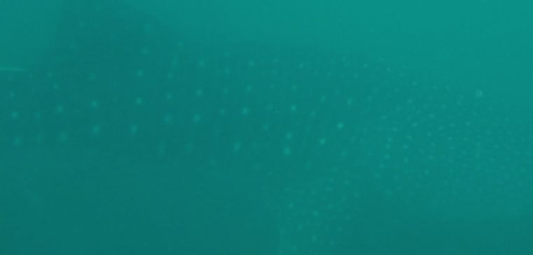 f3a319f2-316a-4aef-ad06-d4979904d283