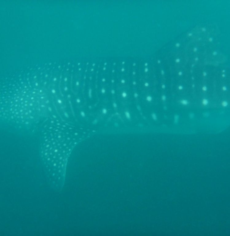 f3a319f2-316a-4aef-ad06-d4979904d283