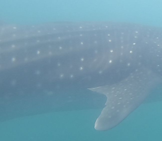 e558e509-73b1-4146-b5a0-aa47af893f94