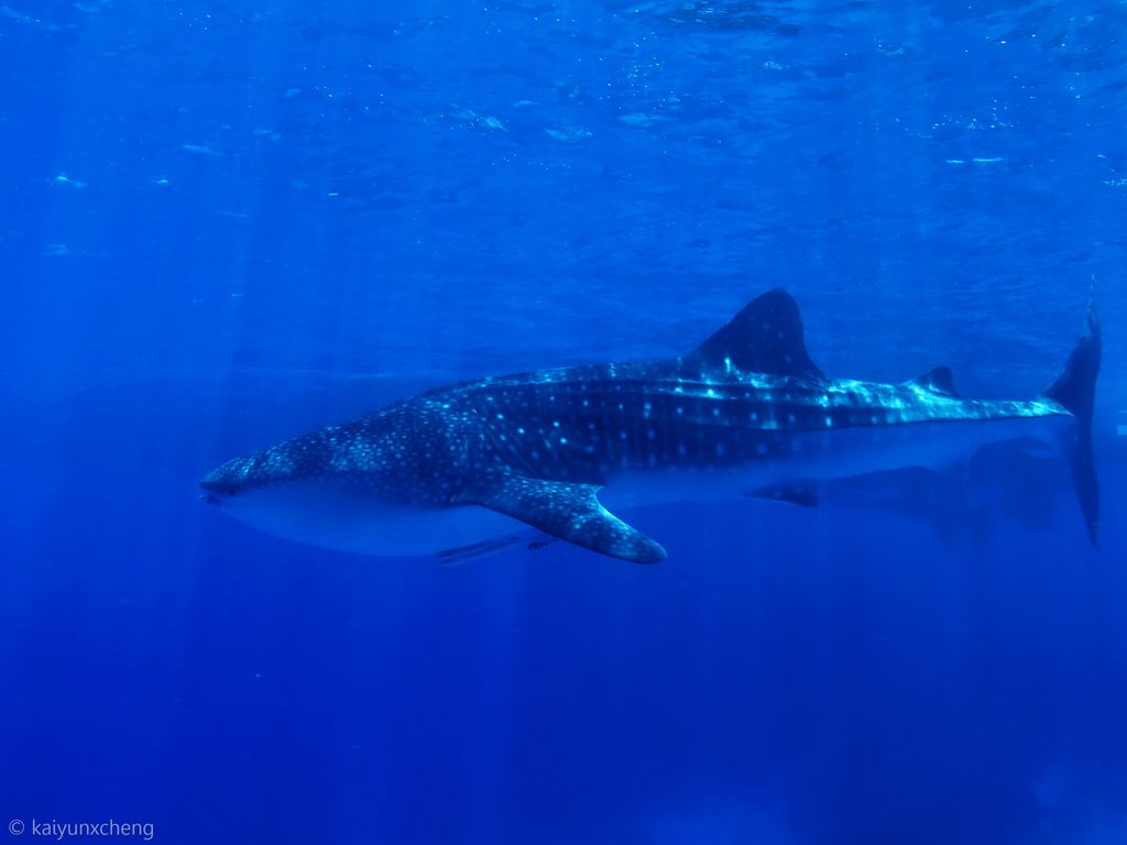 fe1ac974-43eb-4f8c-82c2-34b775e09899