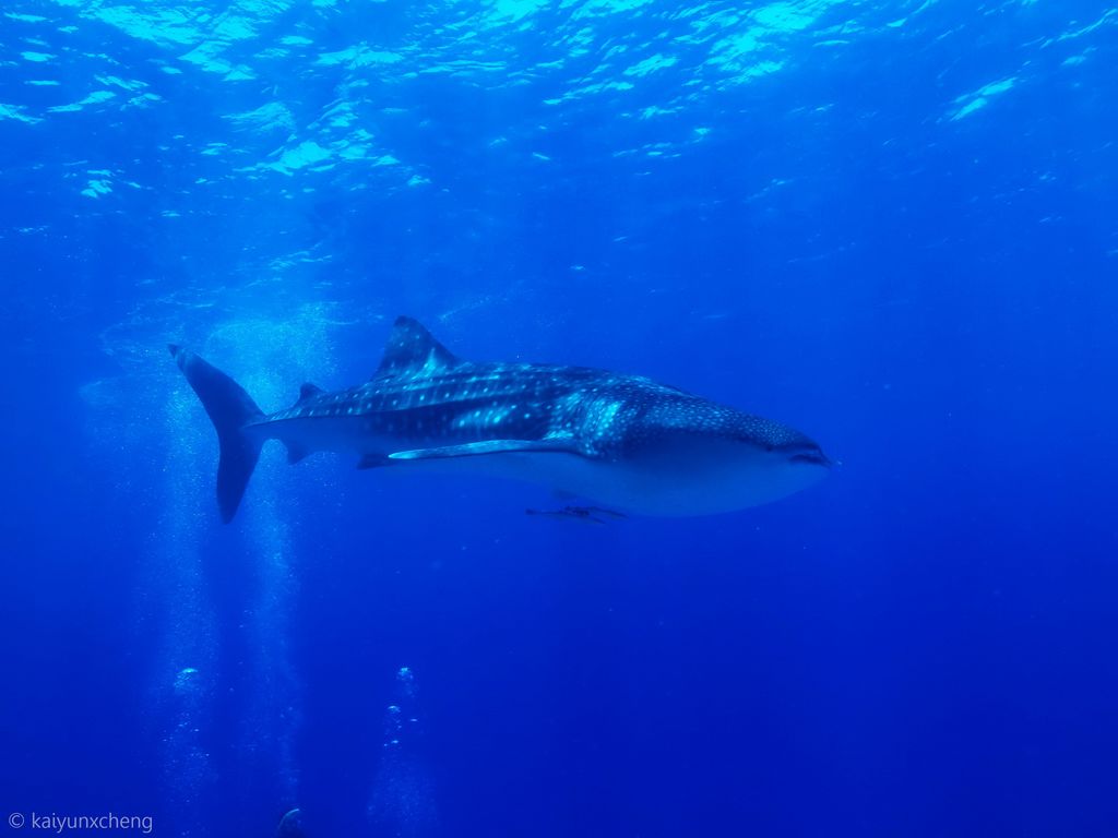 fe1ac974-43eb-4f8c-82c2-34b775e09899