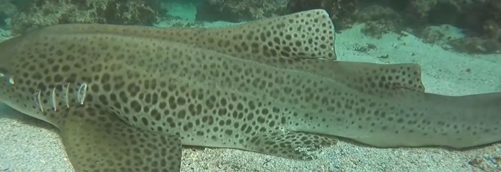 896fa302-dd60-4a22-b5e1-546efd7307f0