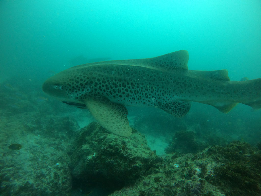 d1033600-38f9-42d9-8200-01b657eeba56