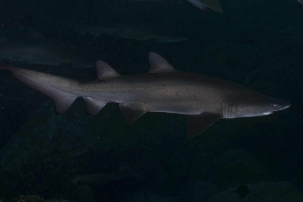 483c90d2-fbc6-4ab0-8a47-259ee04f7d83