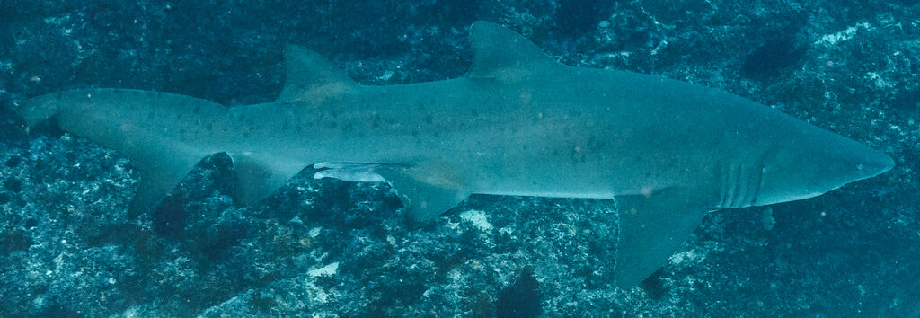 43189c9a-e0bb-4f3a-b758-621913a2224a