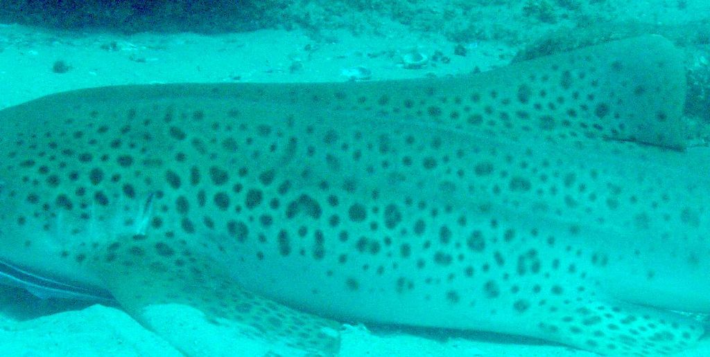 3c8564c5-ab9c-4b06-926f-c6a1b0e673e5