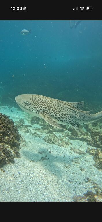 c2ca79fb-1eda-4564-9fc8-e95ecaa9609b