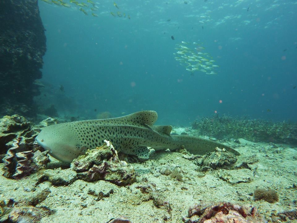 fb9950a8-83ac-464e-87df-2d8bfdbace8b