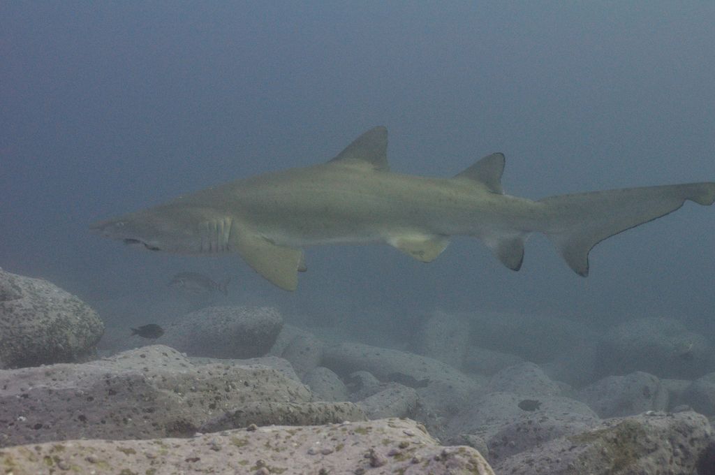 2dc9b0a1-44b7-40e7-8b70-808b604e09b6