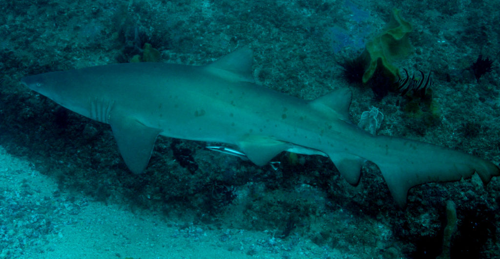 b01b76be-1b01-4d47-ac6b-38f047ec234d