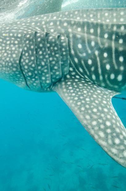 8552fbcc-6448-47b4-93c2-6e7c0b42397b