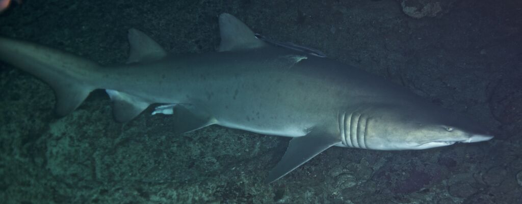 6488eb1f-8bc6-4aad-94ae-2e7460719ef0