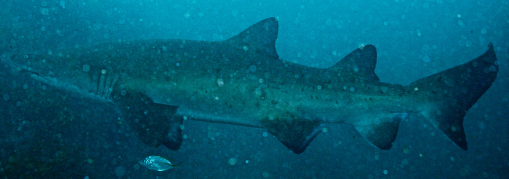 ce66660d-8160-45bb-b45c-203c581ecce3