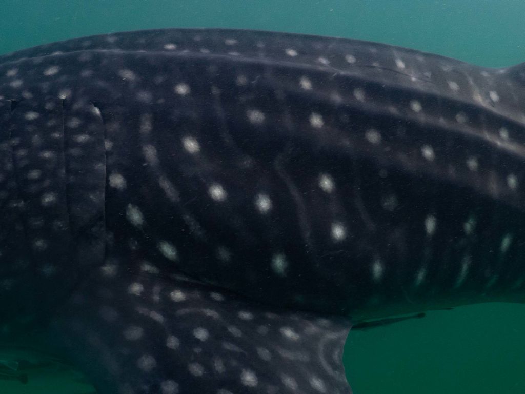 c9884bfd-b59a-4906-99b3-95b46664bca2