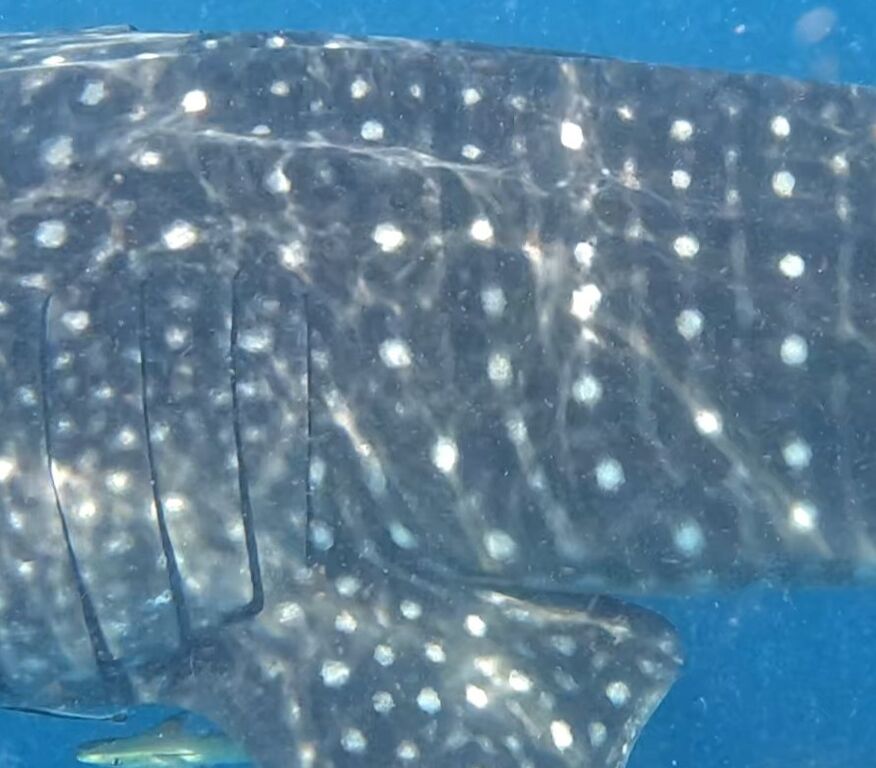 4c1364d8-b3a2-4bb9-b309-e6d81fb2fba1