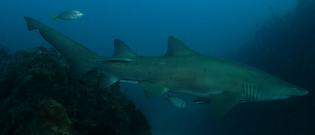 bc982baf-fb64-43ab-99d6-8446116aac95